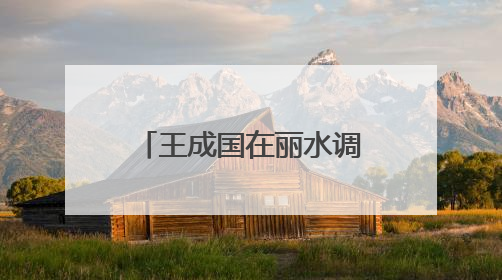 王成国在丽水调研时强调：以更高水平安全和法治环境服务保障山区海岛县高质量发展