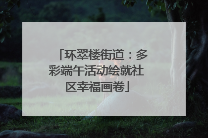 环翠楼街道：多彩端午活动绘就社区幸福画卷