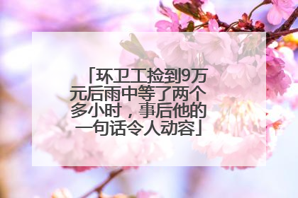 环卫工捡到9万元后雨中等了两个多小时，事后他的一句话令人动容