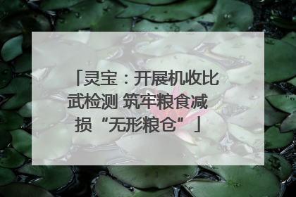 灵宝：开展机收比武检测 筑牢粮食减损“无形粮仓”