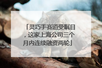 灵巧手赛道受瞩目，这家上海公司三个月内连续融资两轮