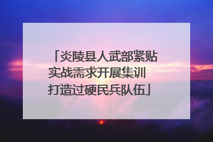 炎陵县人武部紧贴实战需求开展集训 打造过硬民兵队伍