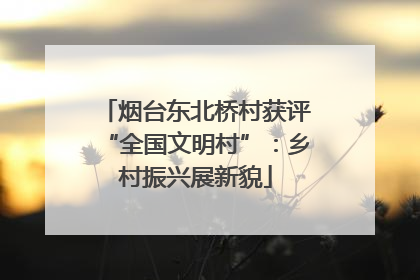 烟台东北桥村获评“全国文明村”：乡村振兴展新貌