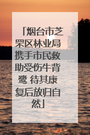 烟台市芝罘区林业局携手市民救助受伤牛背鹭 待其康复后放归自然