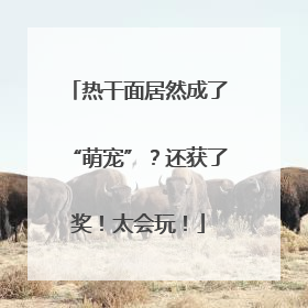 热干面居然成了“萌宠”？还获了奖！太会玩！