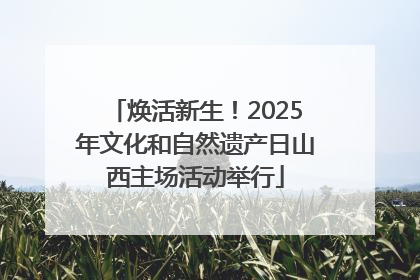 焕活新生！2025年文化和自然遗产日山西主场活动举行