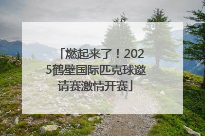燃起来了！2025鹤壁国际匹克球邀请赛激情开赛