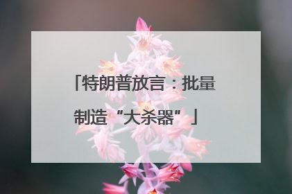 特朗普放言：批量制造“大杀器”