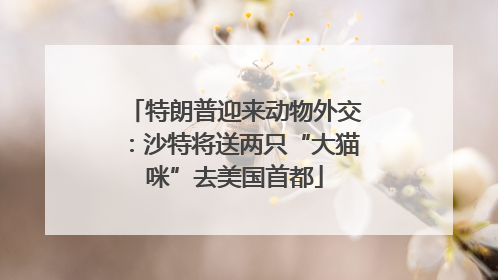 特朗普迎来动物外交：沙特将送两只“大猫咪”去美国首都