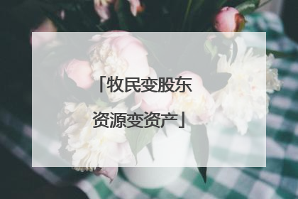 牧民变股东 资源变资产