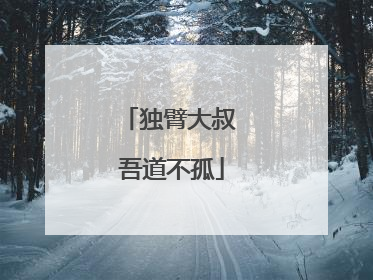 独臂大叔 吾道不孤