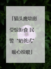 猫头鹰幼崽受惊拒食 民警“奶爸式”暖心投喂