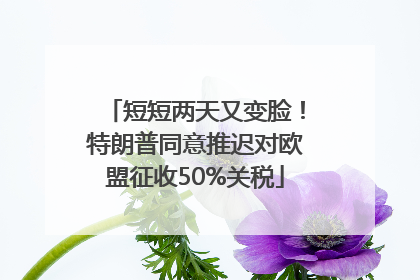 短短两天又变脸！特朗普同意推迟对欧盟征收50%关税