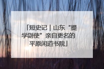 短史记｜山东“提学副使”亲自更名的平原闲道书院