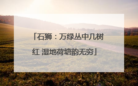 石狮：万绿丛中几树红 湿地荷塘韵无穷