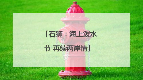 石狮：海上泼水节 再续两岸情