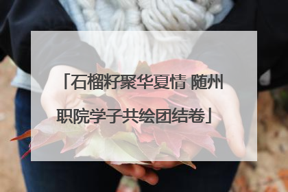 石榴籽聚华夏情 随州职院学子共绘团结卷