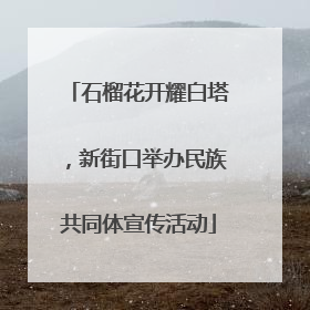 石榴花开耀白塔，新街口举办民族共同体宣传活动