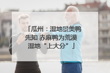 瓜州：湿地景美鸭先知 赤麻鸭为荒漠湿地“上大分”
