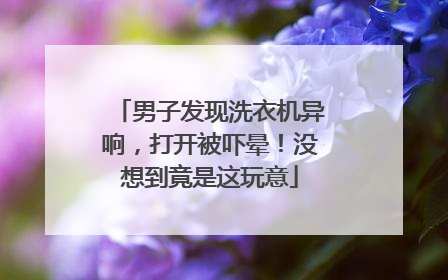 男子发现洗衣机异响，打开被吓晕！没想到竟是这玩意