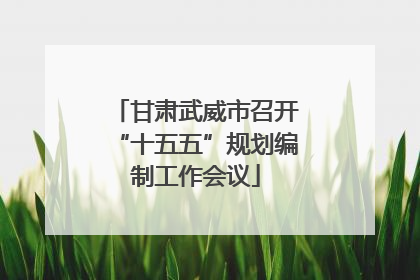 甘肃武威市召开“十五五”规划编制工作会议