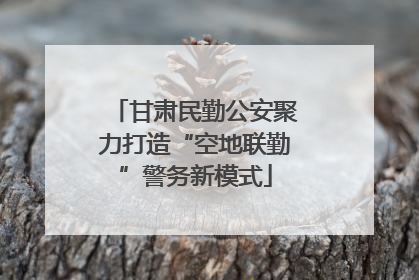 甘肃民勤公安聚力打造“空地联勤”警务新模式