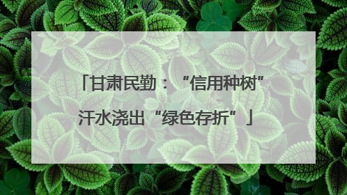 甘肃民勤：“信用种树” 汗水浇出“绿色存折”