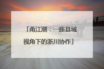 甬江潮：一座县域视角下的浙川协作
