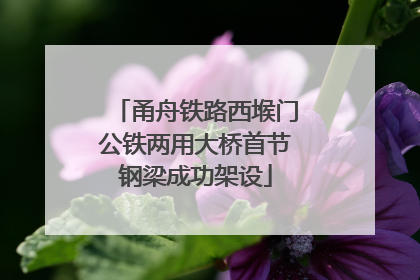 甬舟铁路西堠门公铁两用大桥首节钢梁成功架设