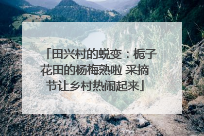 田兴村的蜕变：栀子花田的杨梅熟啦 采摘节让乡村热闹起来