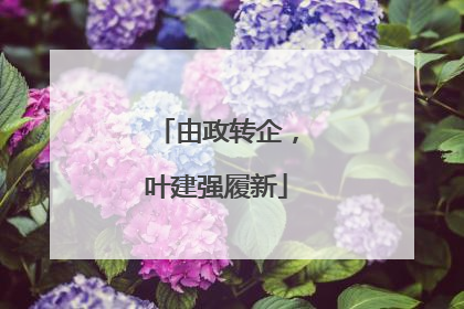 由政转企，叶建强履新