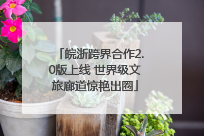 皖浙跨界合作2.0版上线 世界级文旅廊道惊艳出圈