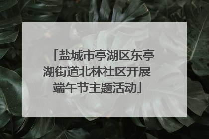 盐城市亭湖区东亭湖街道北林社区开展端午节主题活动