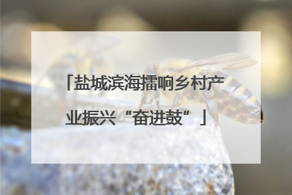 盐城滨海擂响乡村产业振兴“奋进鼓”