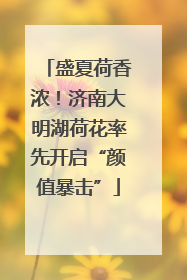 盛夏荷香浓！济南大明湖荷花率先开启“颜值暴击”