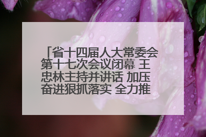 省十四届人大常委会第十七次会议闭幕 王忠林主持并讲话 加压奋进狠抓落实 全力推动支点建设成势见效