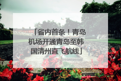 省内首条！青岛机场开通青岛至韩国清州直飞航线