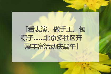 看表演、做手工、包粽子……北京多社区开展丰富活动庆端午
