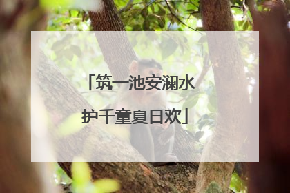 筑一池安澜水 护千童夏日欢