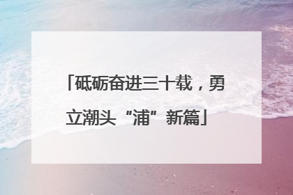砥砺奋进三十载，勇立潮头“浦”新篇