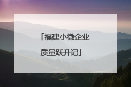 福建小微企业质量跃升记