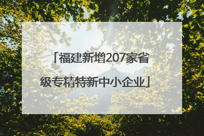 福建新增207家省级专精特新中小企业