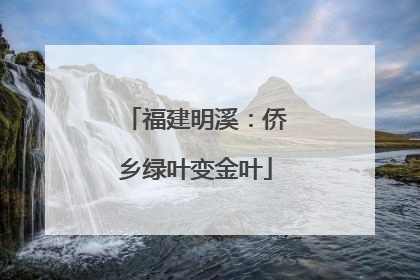 福建明溪：侨乡绿叶变金叶