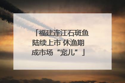 福建连江石斑鱼陆续上市 休渔期成市场“宠儿”
