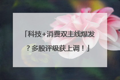 科技+消费双主线爆发？多股评级获上调！