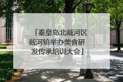 秦皇岛北戴河区戴河镇举办美食研发传承培训大会