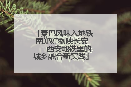 秦巴风味入地铁 南郑好物映长安——西安地铁里的城乡融合新实践
