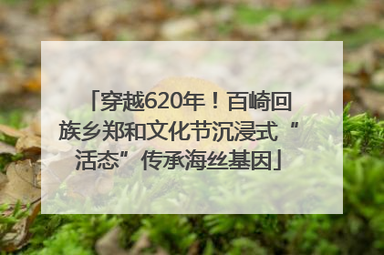 穿越620年！百崎回族乡郑和文化节沉浸式“活态”传承海丝基因
