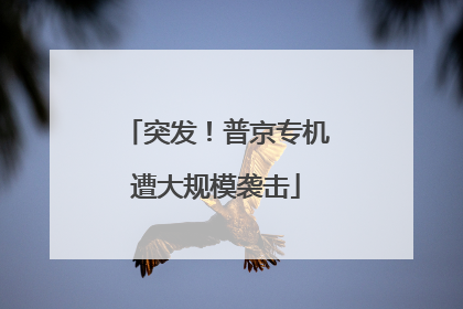 突发！普京专机遭大规模袭击