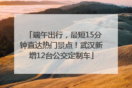 端午出行，最短15分钟直达热门景点！武汉新增12台公交定制车